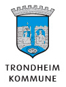 Tk Logo